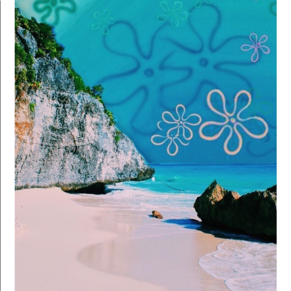 Meet your Posher, Sadie